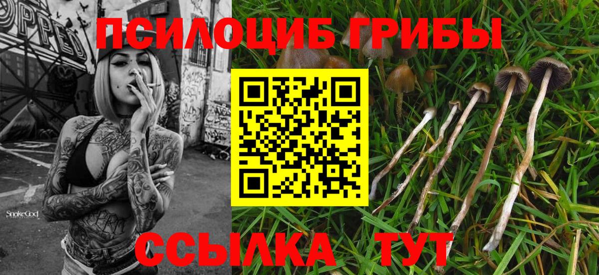 Люберцы  Псилоцибиновые грибы ЛСД  Вход с VPN 